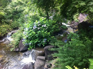 画像 019