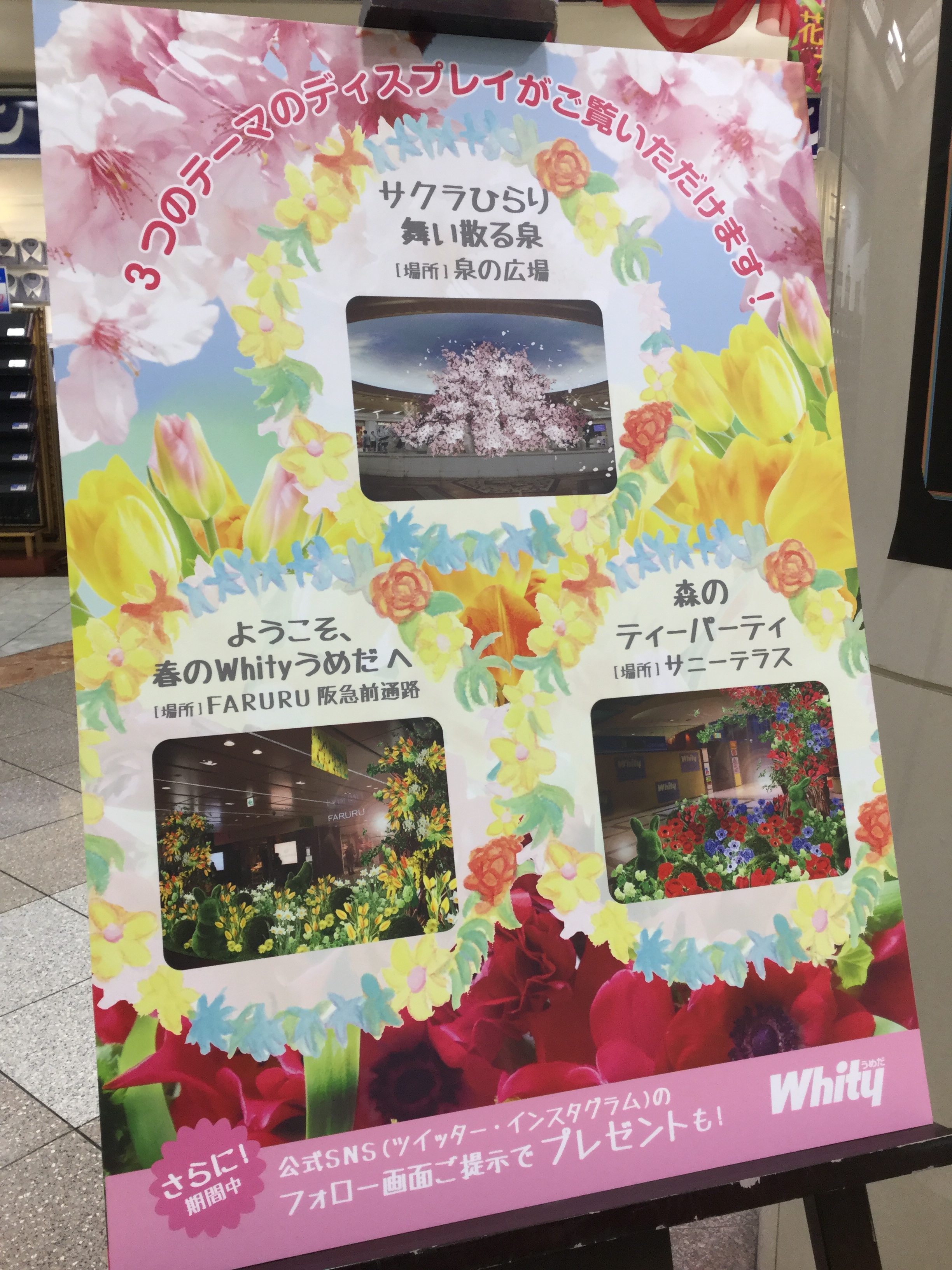 写真2