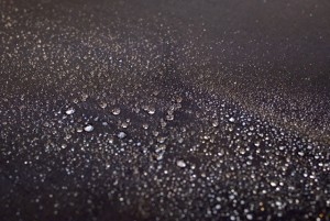 DSCF5979