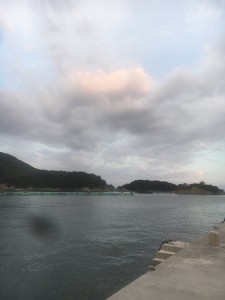 ニシモト④