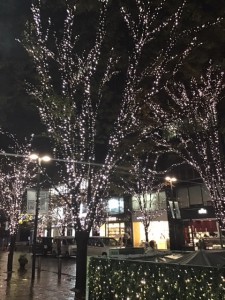 ブログ用11-23
