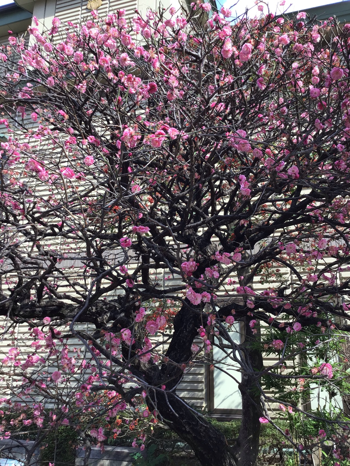 image2編集