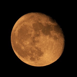 IMG_4117