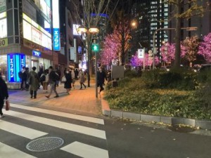 イルミ①-1
